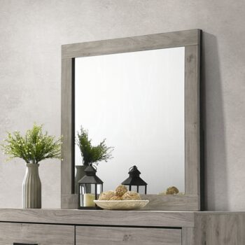Mari Mirror in Light Gray Finish BD04144 By ACME