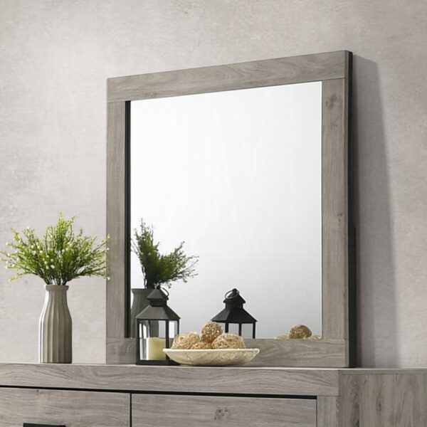 Mari Mirror in Light Gray Finish BD04144 By ACME 6