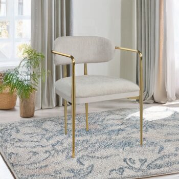 Zayn Arm Chair in Beige Chenille DN04206 By ACME