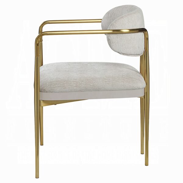 Zayn Arm Chair in Beige Chenille DN04206 By ACME 10