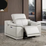 9762 DivanItalia Italian Leather Chair By Gu Furniture - Image 2