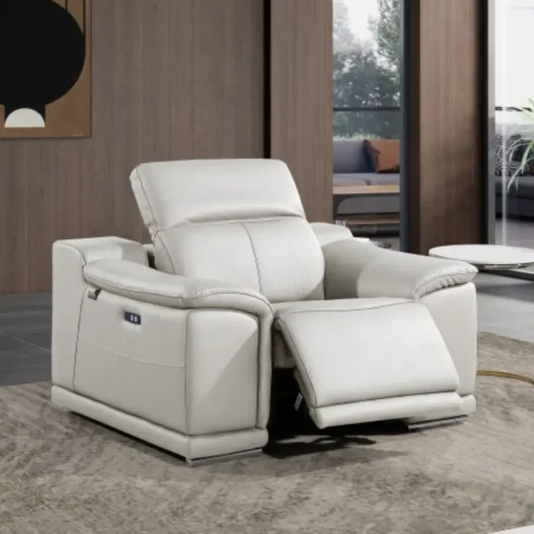 9762 DivanItalia Italian Leather Chair By Gu Furniture - Image 2