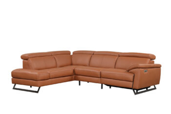 Gea Left Sectional