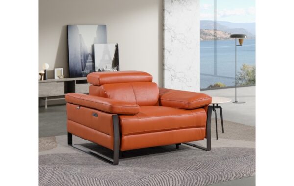 1246 Power Reclining Arm Chair with Power in Leather By Gu Furniture 17