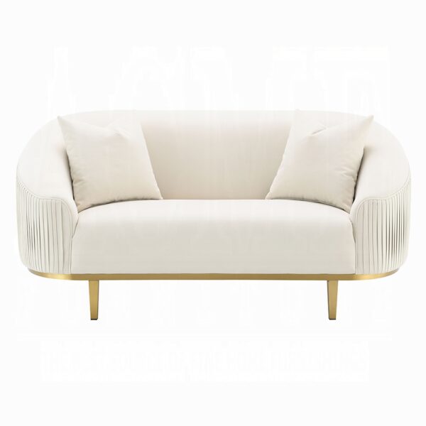 Martina Loveseat with 2 Pillows in Ivory Velvet LV03851 By ACME 9