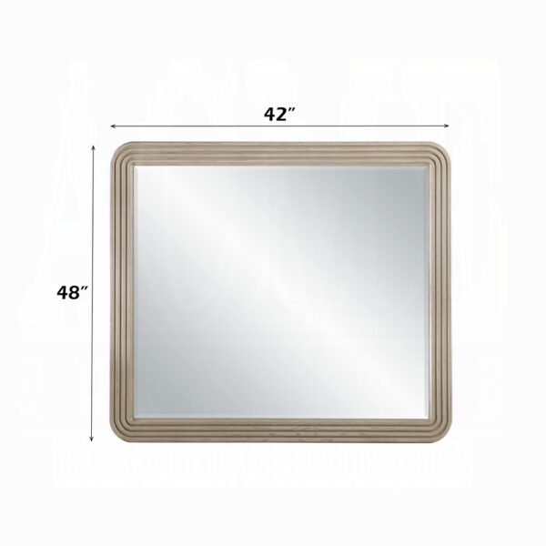 Leanna Mirror in Light Oak Finish BD05434 By ACME 8