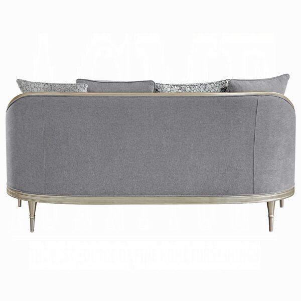 Fernando Loveseat with 4 Pillows in Champagne Finish LV04821 By ACME 9