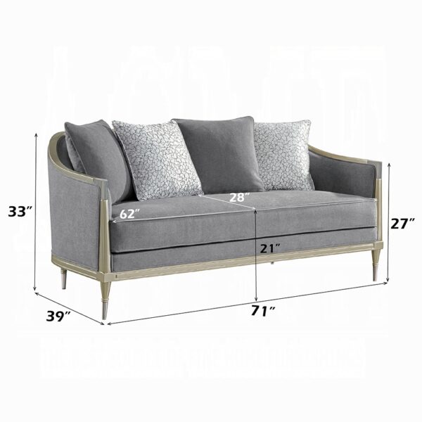 Fernando Loveseat with 4 Pillows in Champagne Finish LV04821 By ACME 10