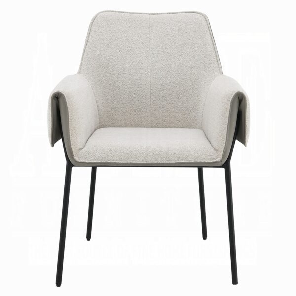Jirina Arm Chair in Beige Chenille DN03678 By ACME 12
