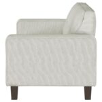 Deerhurst Upholstered Track Arm Tufted Sofa Greige by Coaster Furniture 12