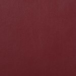 Camila Upholstered Motion Reclining Sofa Red By Coaster Furniture 9