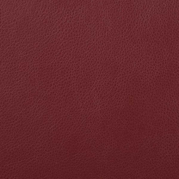 Camila Upholstered Motion Reclining Sofa Red By Coaster Furniture - Image 2