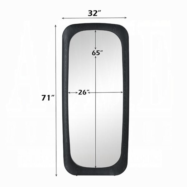 Izusa Black Framed Wall Mirror AC03022 By ACME 6