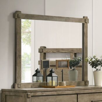 Colton Antique White Oak Finish Mirror BD05294 By ACME
