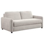 Rylie Upholstered Sofa Sleeper with Queen Mattress Beige by Coaster Furniture Luxury Living Room Furniture Mobilia Cleopatra 17 Rylie Upholstered Sofa Sleeper with Queen Mattress Beige by Coaster Furniture 17