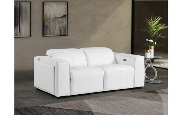 1224 DivanItalia Top Grain Italian Leather Loveseat By GU Furniture 21