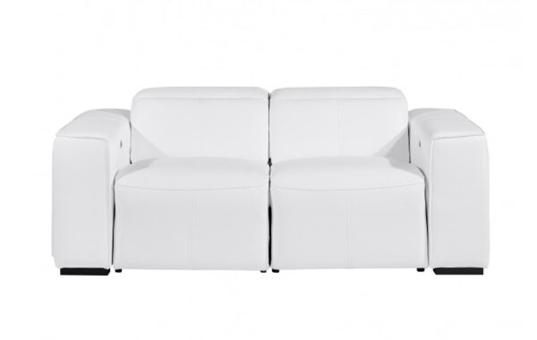 1224 DivanItalia Top Grain Italian Leather Loveseat By GU Furniture 23
