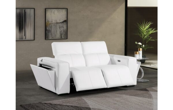1224 DivanItalia Top Grain Italian Leather Loveseat By GU Furniture 22