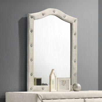 Reggie Mirror in Beige Fabric Finish BD04504 By ACME