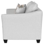 Salizar Modern Sand Fabric Sofa by Coaster Furniture 18