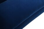 Severo Loveseat in Royal Blue Velvet – FM61005BL-LV by Furniture of America 18