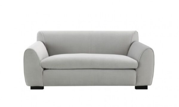 Severo Loveseat in Light Gray Velvet – FM61005LG-LV by Furniture of America 8