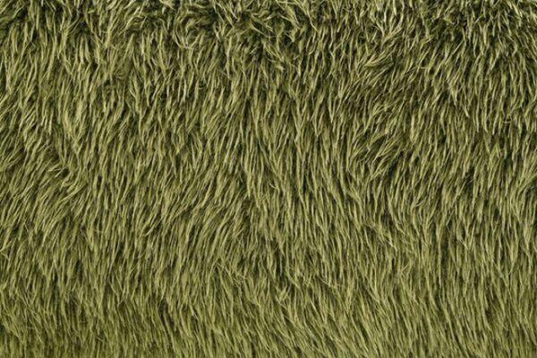 Darwen Loveseat in Green Faux Fur – FM64006GR-LV by Furniture of America 11