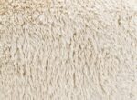 Darwen Loveseat in Sand Faux Fur – FM64006BG-LV by Furniture of America 16