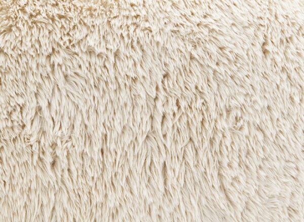 Darwen Loveseat in Sand Faux Fur – FM64006BG-LV by Furniture of America 11
