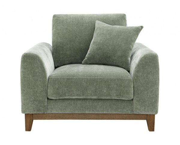 Watton Chair in Olive Green Chenille – FM64008GR-CH  by Furniture of America 10