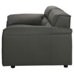 Buxton Top Grain Leather Upholstered Loveseat Graphite by Coaster Furniture Mobilia Cleopatra 13 Buxton Top Grain Leather Upholstered Loveseat Graphite by Coaster Furniture 13