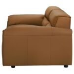 Buxton Modern Orange Leather Loveseat by Coaster Furniture Luxury Living Room Furniture Mobilia Cleopatra 15 Buxton Modern Orange Leather Loveseat by Coaster Furniture 15