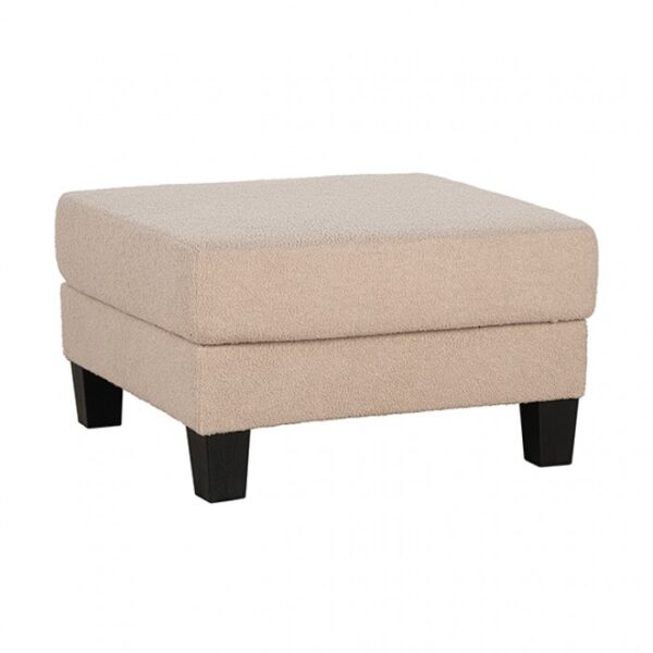 Cinderford Beige Storage Ottoman with Hidden Storage – SL6936BG-OT by Furniture of America 11