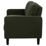 RuthMatcha Green Loveseat by Coaster Furniture Luxury Living Room Furniture Mobilia Cleopatra 13 RuthMatcha Green Loveseat by Coaster Furniture 13
