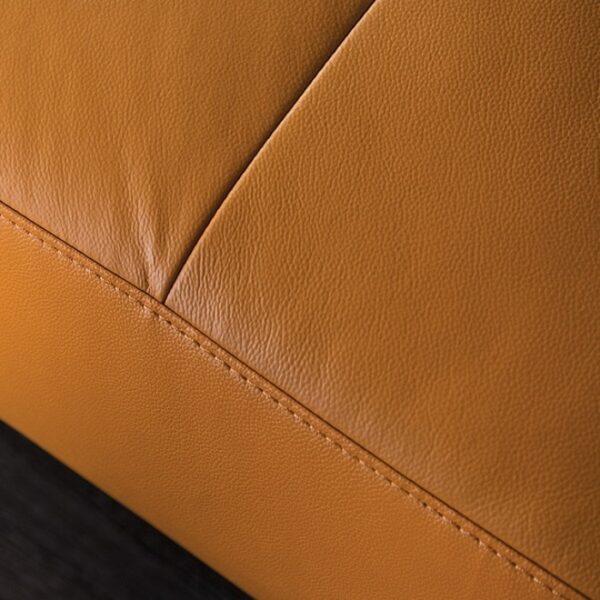 Vadso Contemporary Tangerine Leather Match Sectional Sofa FM69005LB-SECT-R by Furniture of America 9