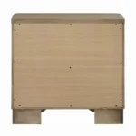 Lakkari Oak Nightstand BD04873 By ACME - Image 3