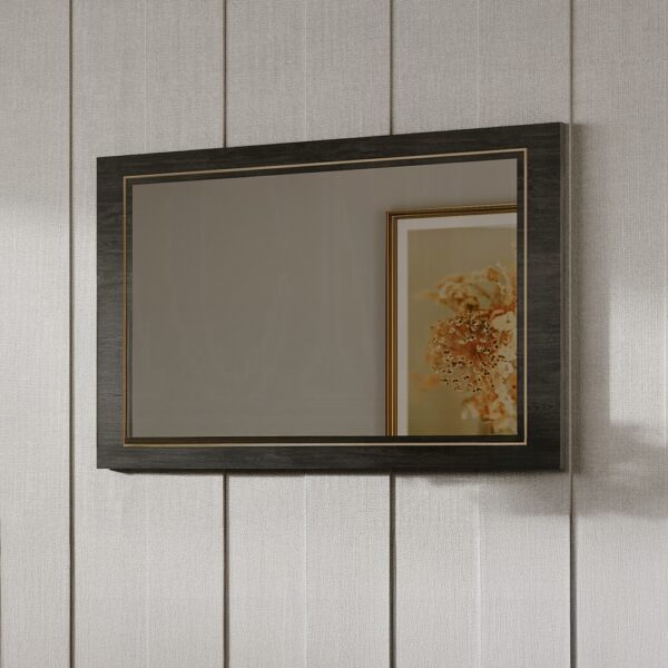 Venezia Accent Mirror in Gray Finish AC04718 By ACME 7