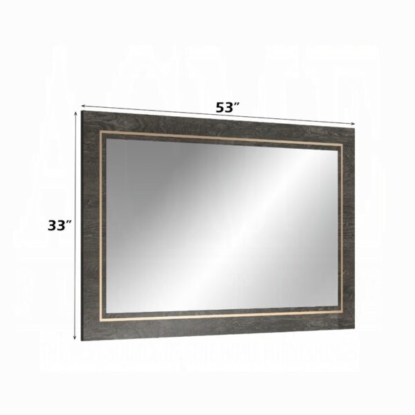Venezia Accent Mirror in Gray Finish AC04718 By ACME 8