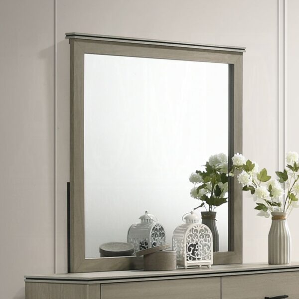 Joanna Weathered Gray Mirror BD05144 By ACME 7