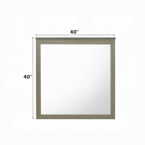 Joanna Weathered Gray Mirror BD05144 By ACME 9