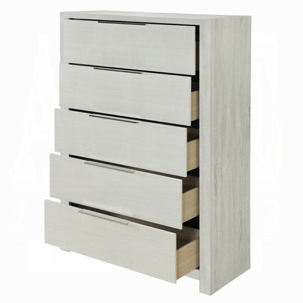 Jehoram Chest in Beige Finish BD04356 By ACME 8