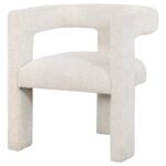Petra Bouclé Accent Chair by Coaster Furniture 17