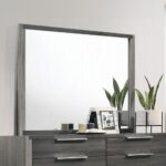 Jehoram Gray Mirror BD02724 By ACME Luxury Bedroom Dressers & Mirrors Mobilia Cleopatra 11 Jehoram Gray Mirror BD02724 By ACME 11