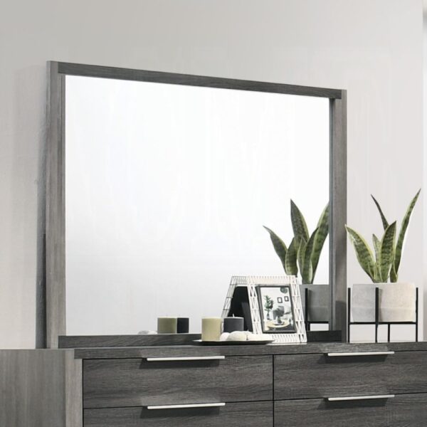 Jehoram Gray Mirror BD02724 By ACME 7