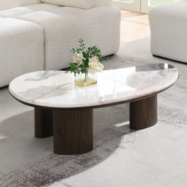 Hanale Coffee Table with Natural Marble LV04575 By ACME 7