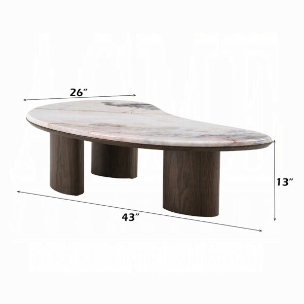 Hanale Coffee Table with Natural Marble LV04575 By ACME 9