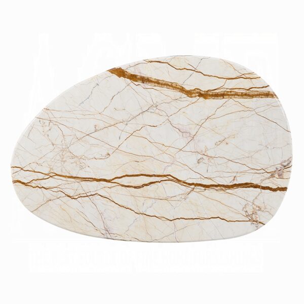 Haidar Coffee Table with Natural Marble LV04565 By ACME 8