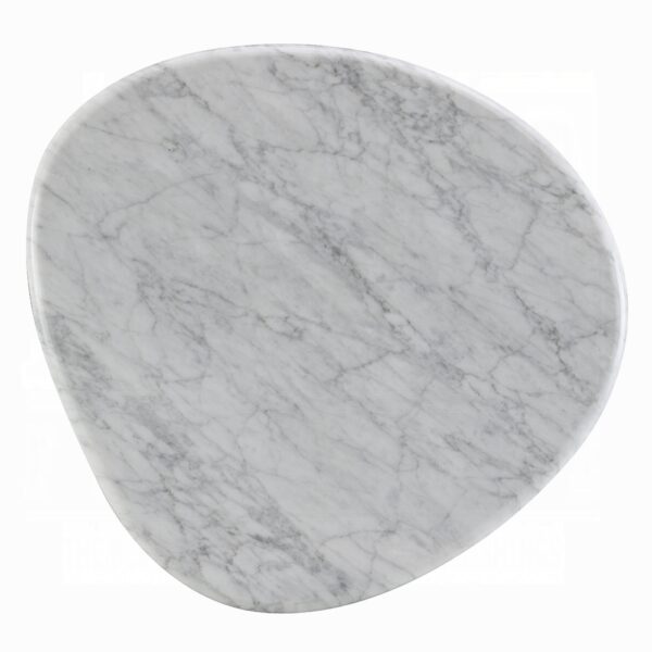 Haidar Natural Marble End Table with Brown Veneer Base LV04566 By ACME 8