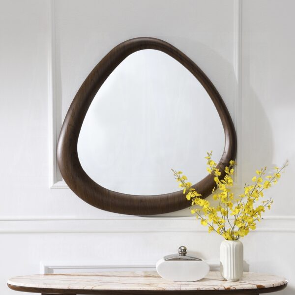 Haidar Brown Accent Mirror AC04568 By ACME 6