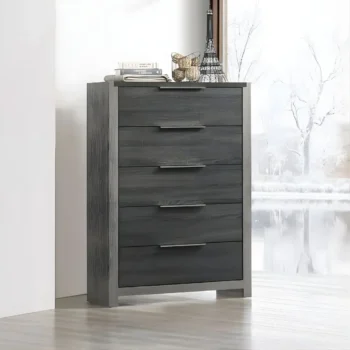 Jehoram Chest in Gray Finish BD02726 By ACME